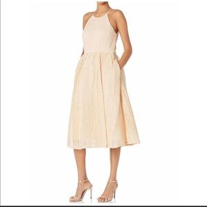NWT ADRIANNA PAPELL SLEEVELESS SHIRRED TULLE MIDI DRESS